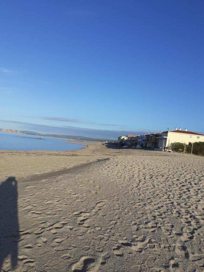 Agriturismo Gli Olivastri -Appartamento Bel Vedere Con Piscina ,Solarium E Vista Mare,Climatizzatore ,Wifi アリエントゥ エクステリア 写真