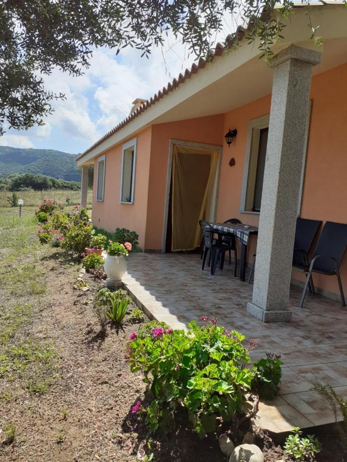Agriturismo Gli Olivastri -Appartamento Bel Vedere Con Piscina ,Solarium E Vista Mare,Climatizzatore ,Wifi アリエントゥ エクステリア 写真
