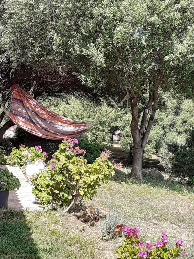 Agriturismo Gli Olivastri -Appartamento Bel Vedere Con Piscina ,Solarium E Vista Mare,Climatizzatore ,Wifi アリエントゥ エクステリア 写真