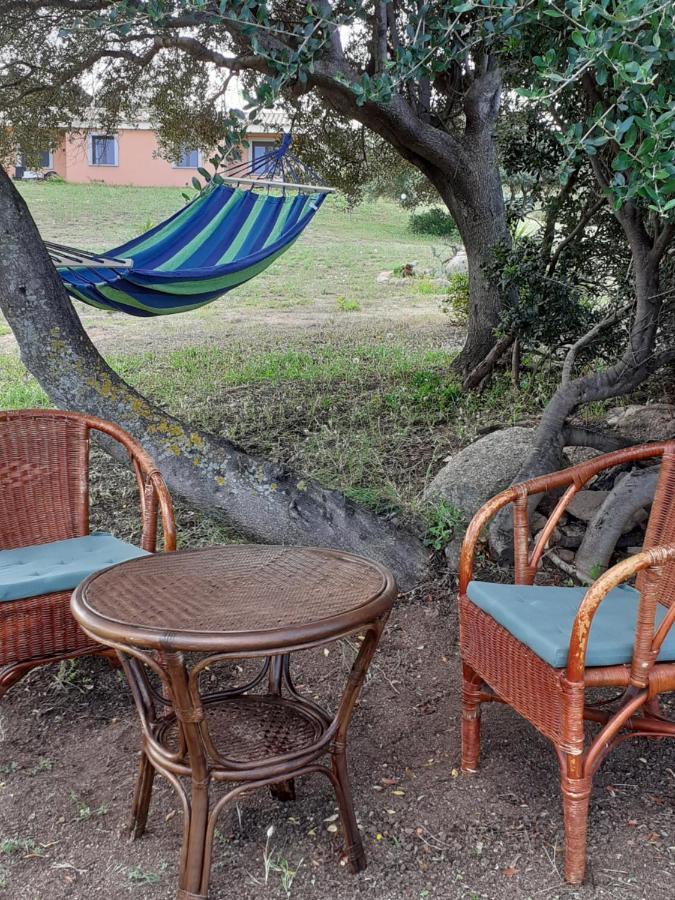 Agriturismo Gli Olivastri -Appartamento Bel Vedere Con Piscina ,Solarium E Vista Mare,Climatizzatore ,Wifi アリエントゥ エクステリア 写真